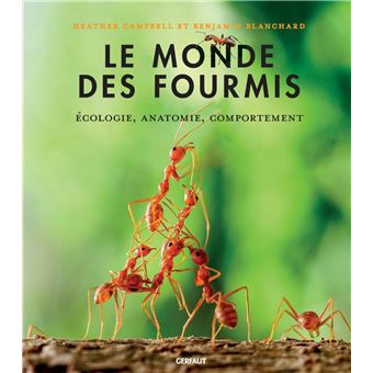 Le monde des fourmis