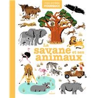 La savane