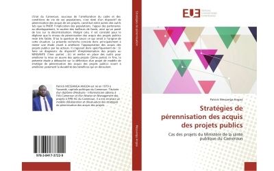 Stratégies de pérennisation des acquis des projets publics