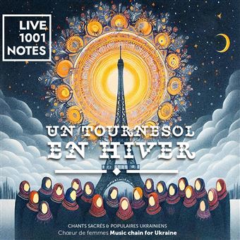 Un-tournesol-en-hiver.jpg