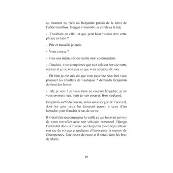 Les enquêtes du brigadier Chaulaix