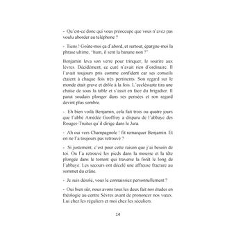 Les enquêtes du brigadier Chaulaix