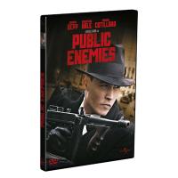 Public Enemies