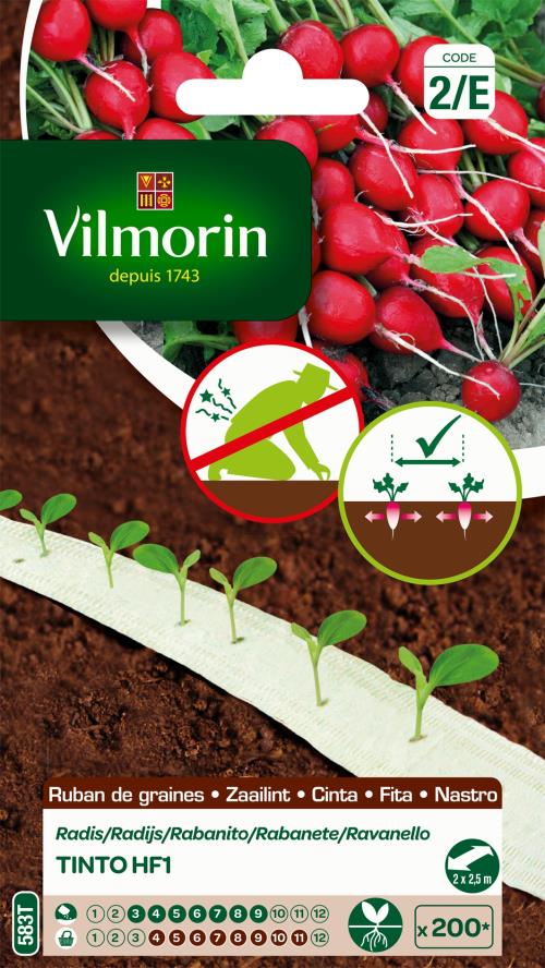 Ruban radis Tinto HF1 5m Vilmorin