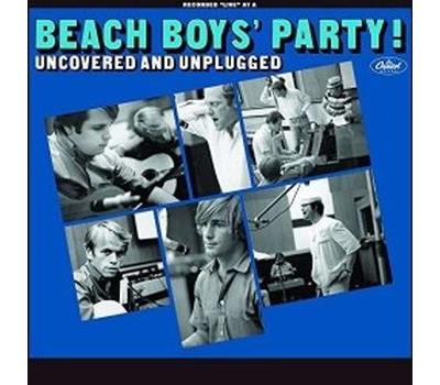 Beach boys' party uncovered and unplugged