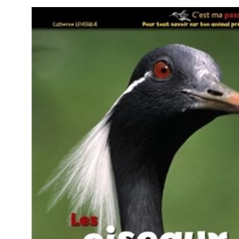 Les oiseaux - 1
