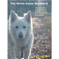 The White Swiss Shepherd