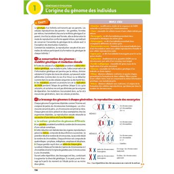 L'Année de Tle Spécialités Physique-Chimie + SVT