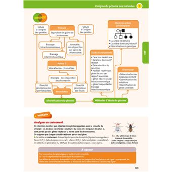 L'Année de Tle Spécialités Physique-Chimie + SVT