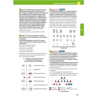 L'Année de Tle Spécialités Physique-Chimie + SVT
