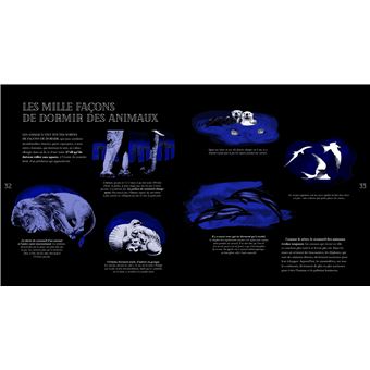 Le Livre de la nuit