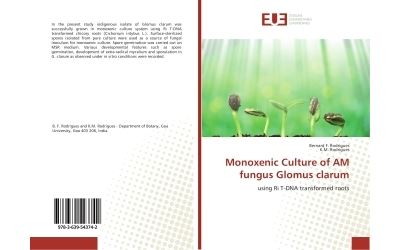 Monoxenic culture of am fungus glomus clarum - using ri t-dn