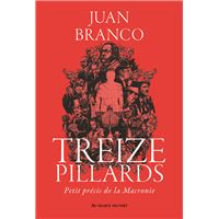 Treize pillards