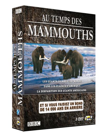 Au temps des Mammouths - Coffret 3 DVD