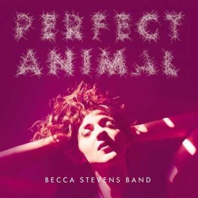The perfect animal