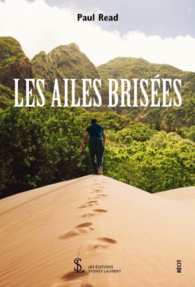 Les ailes brisées