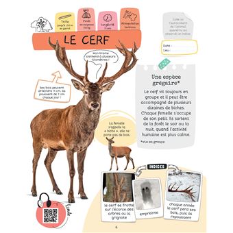 Je sais reconnaître les animaux sauvages