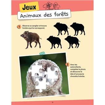 Je sais reconnaître les animaux sauvages