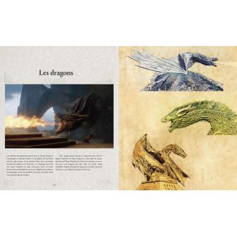 Game of thrones chroniques