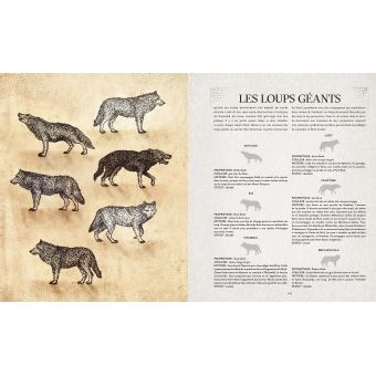 Game of thrones chroniques