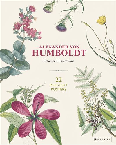 ALEXANDER VON HUMBOLDT BOTANICAL ILLUSTRATIONS 22 PULL-OUT