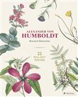 Alexander Von Humboldt Botanical Illustrations