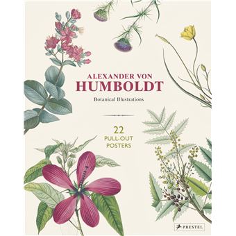 Alexander Von Humboldt Botanical Illustrations