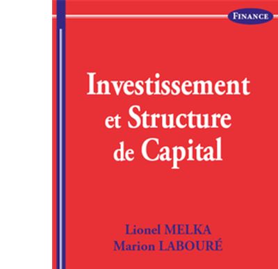 Investissement dans la structure du capital