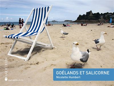 Goelands et salicorne - Nicolette Humbert - cartonné