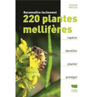 Reconnaître facilement 220 plantes mellifères