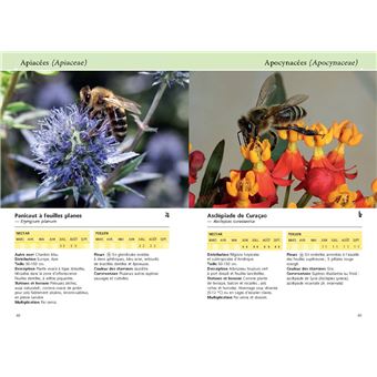 Reconnaître facilement 220 plantes mellifères