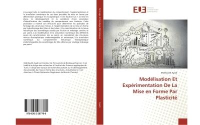 Modelisation et experimentation de la mise en forme par plas