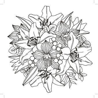 Happy Coloriage Exotica