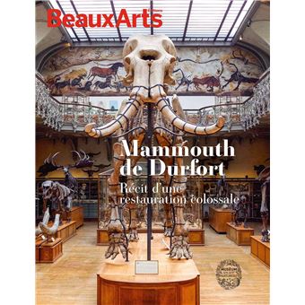Mammouth de Durfort, récit d'une restauration colossale
