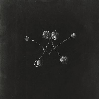 NOWHERE NOW/LP