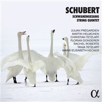 Schwanengesang & Quintette à cordes