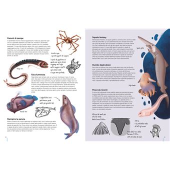 L' Atlas de la biodiversité - Mers et océans