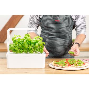French Days 2026 : Recharge triple de Fraises des bois pour Smart Garden - Click and Grow pas cher French Days 2026 : Recharge triple de Fraises des bois pour Smart Garden - Click and Grow pas cher