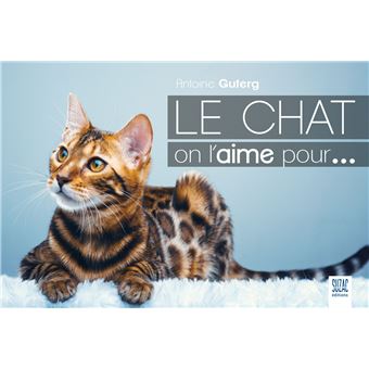 Le chat on l'aime pour...