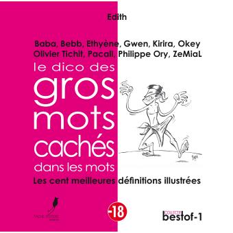 Le Dico des gros mots cachés dans les mots