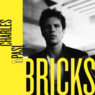 Bricks ltd edit/ed limitee