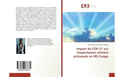 Impact de COP 21 sur l'exploitation minière artisanale en RD.Congo