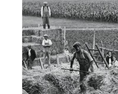 Gens de la terre La France rurale : 1880-1940 - relié - Jean-Luc