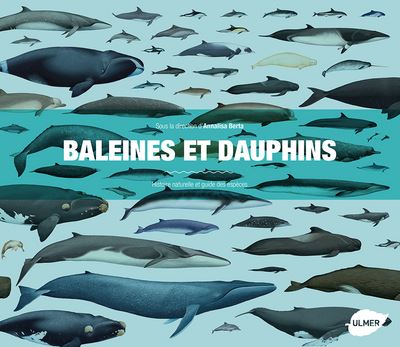 Couverture de Baleines et dauphins : histoire naturelle et guide des espèces