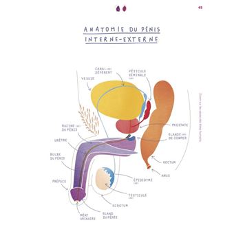 Le petit guide de la foufoune sexuelle - Tome 2