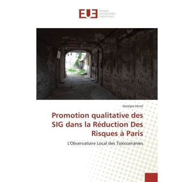 Promotion qualitative des sig dans la réduction des risques à paris - Hinot-G