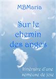 Sur le chemin des anges