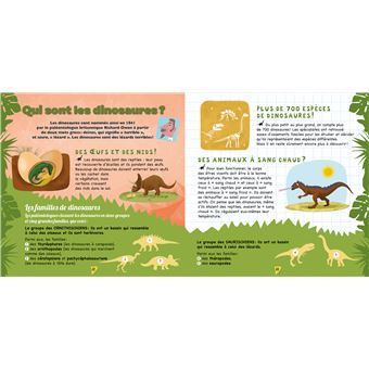 Je découvre les dinosaures - coffret avec lampe
