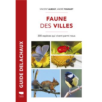 Faune des villes