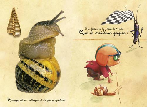 Boîte d'Observation d'Escargot Éducative Amusante Innovante Transparente Facile à Observer Kit d'Observation d'Escargot pour Enfants Étudiants Cadeaux